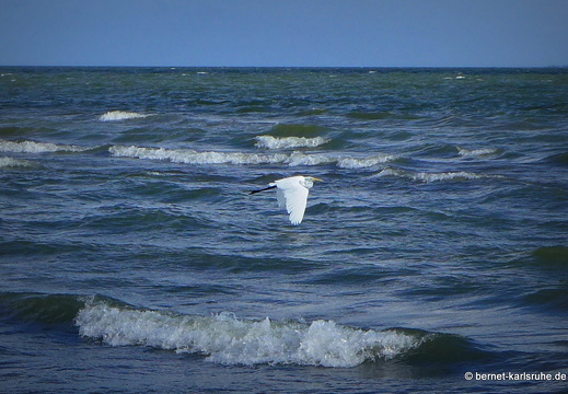 12-12-04-lago-de-nicaragua-037