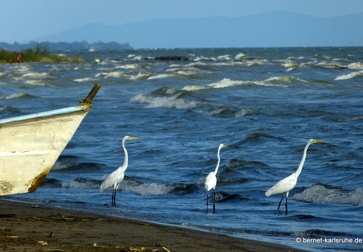 12-12-04-lago-de-nicaragua-066