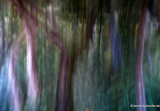 12-12-04-volcano-masaya-435