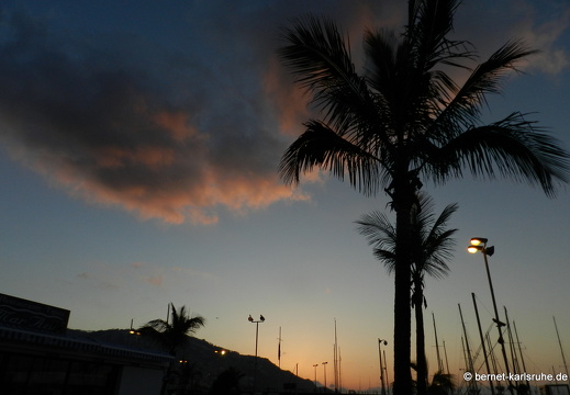 12-03-13-funchal-sonnenaufgang-hafen-palme-22