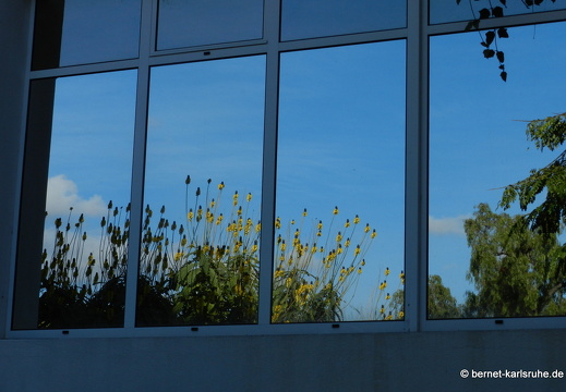 12-03-05-funchal-quinta-da-boa-vista-fenster-spiegelung-14
