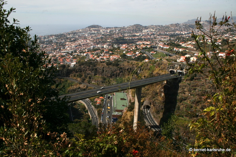 12-03-06-funchal-botanischer-garten-138.JPG