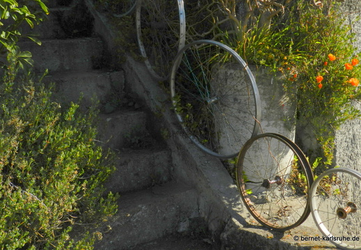 12-03-11-levada-serra-017