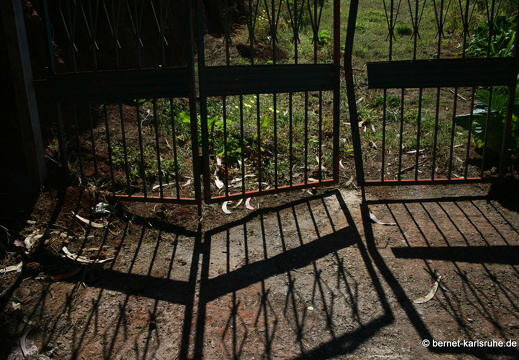 Levadas  und Sao Vicente