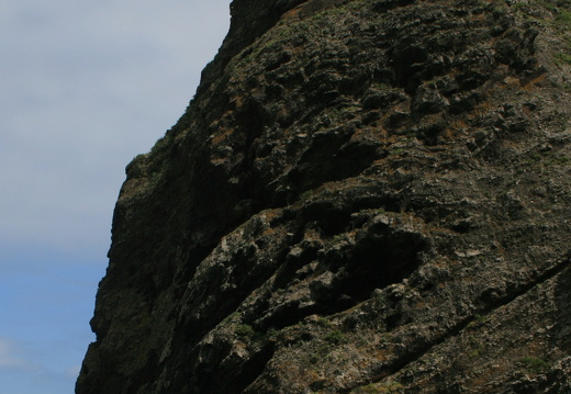 12-03-12-busfahrt-funchal-sao-vicente-abfallbehaelter-172