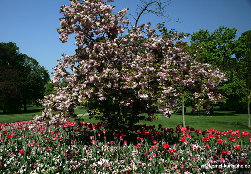 11-04-19-luisenpark-149