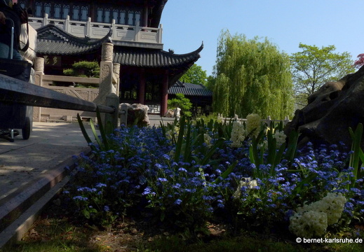 11-04-19-luisenpark-372