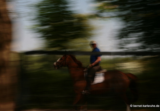 11-04-19-luisenpark-400