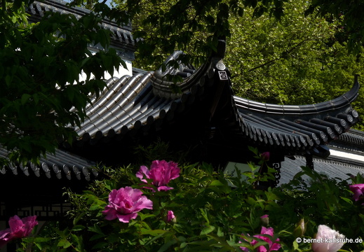 11-04-19-luisenpark-447