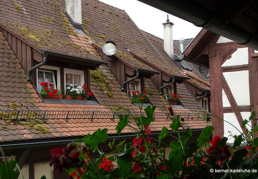 23-06-29-gengenbach-040
