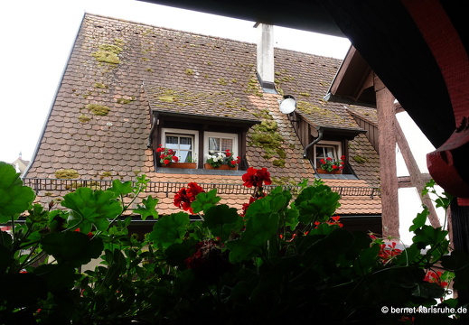 23-06-29-gengenbach-137