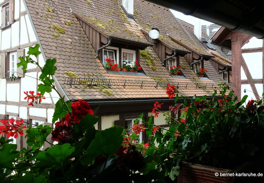 23-06-29-gengenbach-141