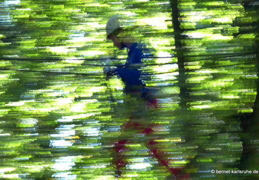 12-09-16-kandel-funforest-041