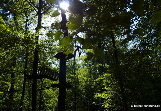 12-09-16-kandel-funforest-083