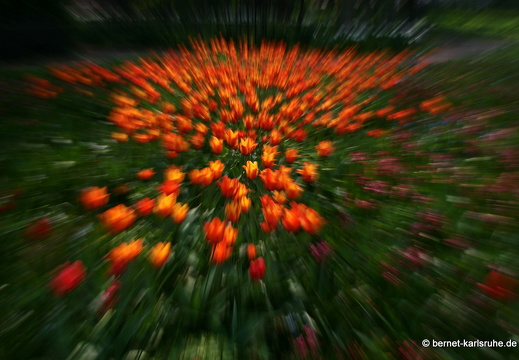 09-04-14-zoo-flora-88