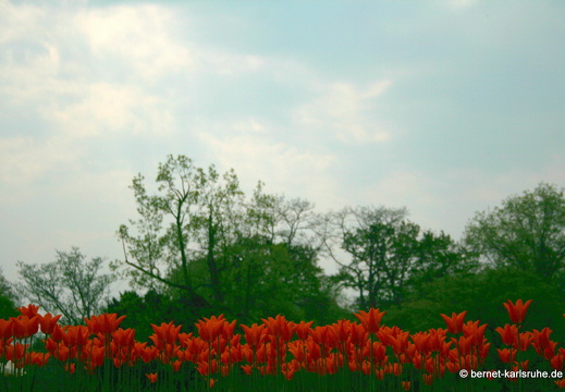 09-04-14-zoo-flora-127