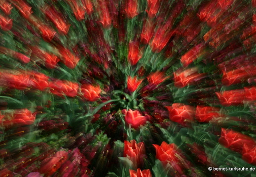 09-04-14-zoo-flora-148