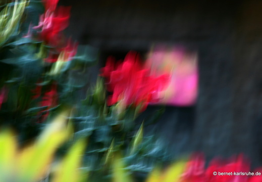 09-04-24-flora- 111