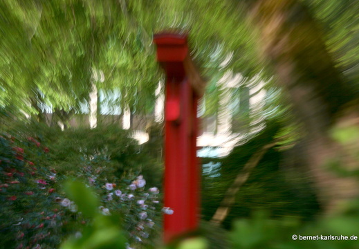 09-04-24-flora- 165