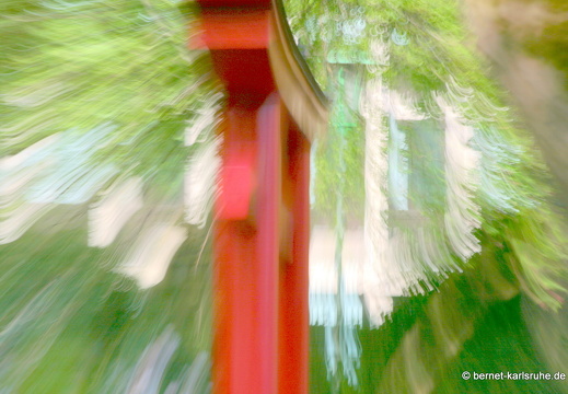 09-04-24-flora- 166