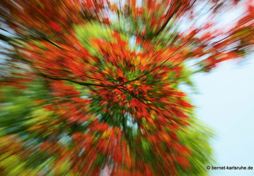 09-05-01-zoo-flora-127
