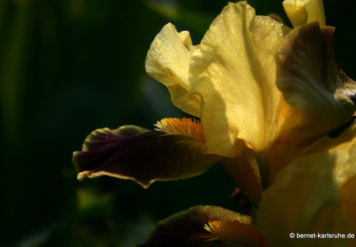 09-05-02-zoo-009