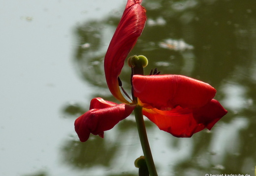 09-05-02-zoo-32