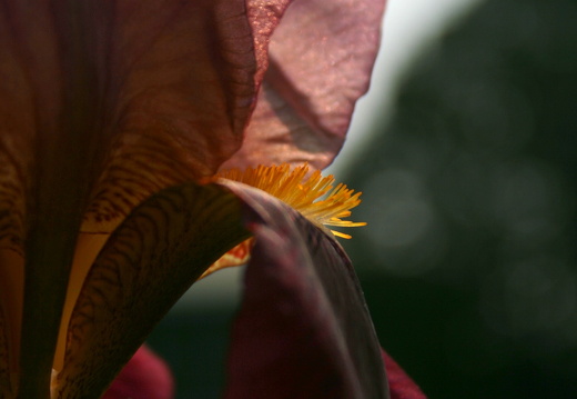 09-05-02-zoo-033