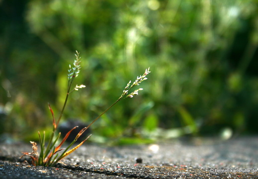 09-05-02-zoo-068