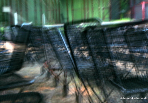 09-05-02-zoo-083