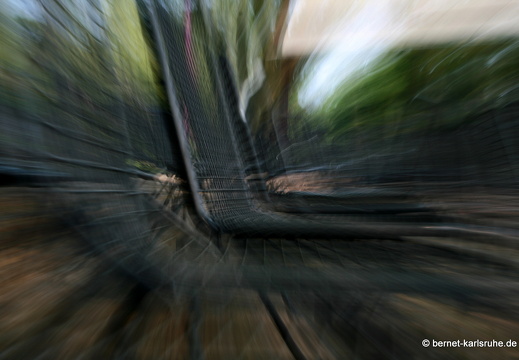 09-05-02-zoo-084