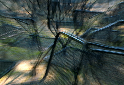 09-05-02-zoo-089