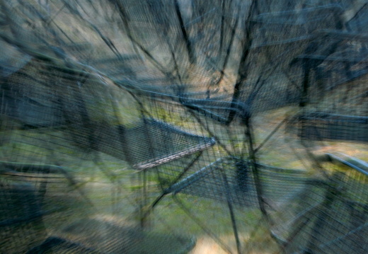 09-05-02-zoo-090