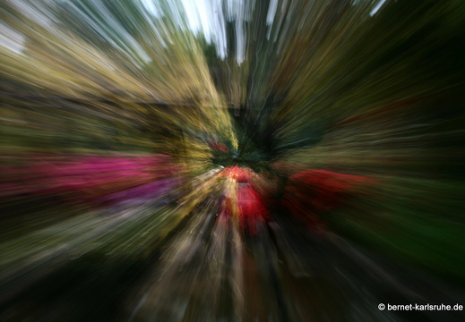 09-05-02-zoo-191
