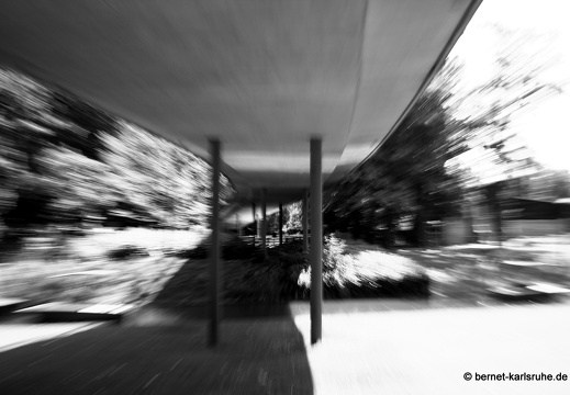 09-06-12-zoo-bruecke-277