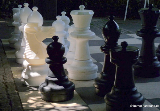 09-06-12-zoo-schach-188