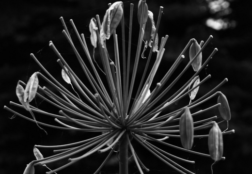 09-09-19-zoo- 100