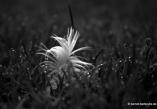 09-09-19-zoo- 126