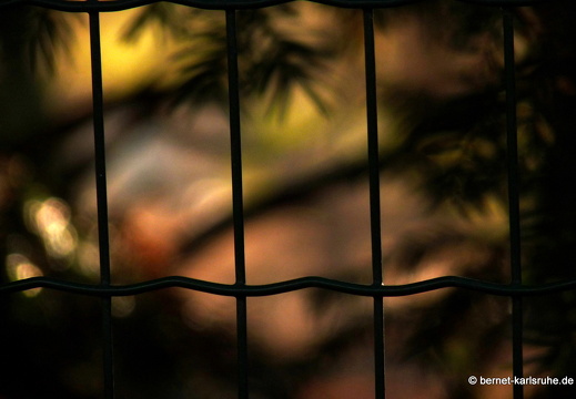 09-12-09-zoo 101