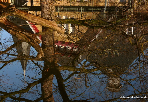 09-12-09-zoo-spiegelung 036-16