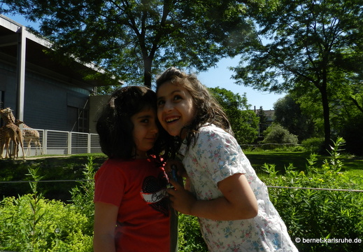 12-05-29-zoo-033