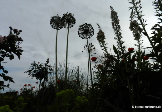 12-06-07-rittnerthof-098