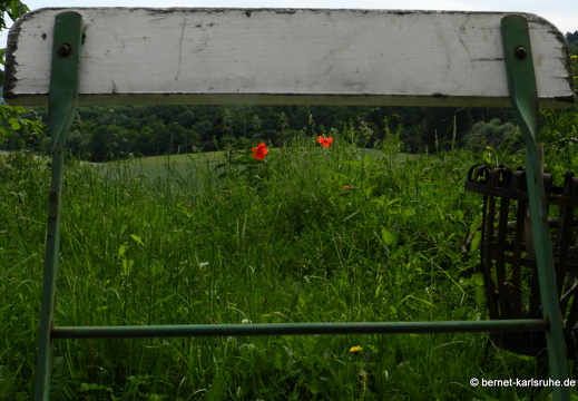 12-06-07-rittnerthof-146