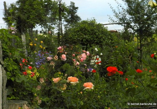 12-06-07-rittnerthof-149