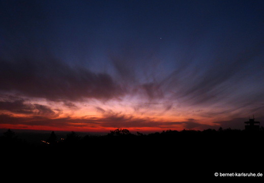 12-10-22-bergwald-sonnenaufgang-nebel-005