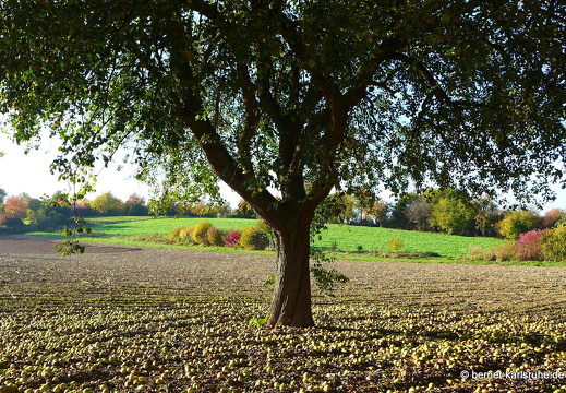 12-10-22-hohenwettersbach-102