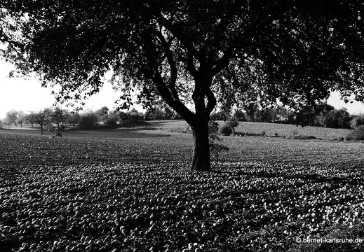 12-10-22-hohenwettersbach-095