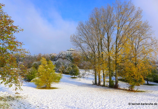 12-10-28-bergwald-herbst-schnee-morgens-sonne-112