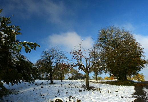 12-10-28-bergwald-herbst-schnee-morgens-sonne-131