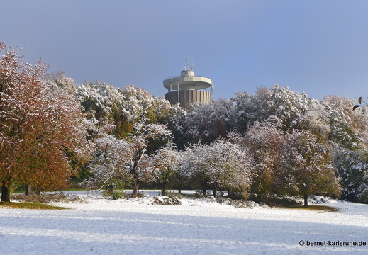 12-10-28-bergwald-herbst-schnee-morgens-sonne-135